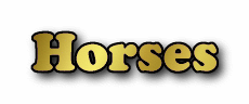 Horses Sale/Lease Ads