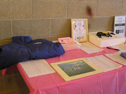 Silent Auction Table - view 1