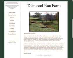 Diamond Run Farm