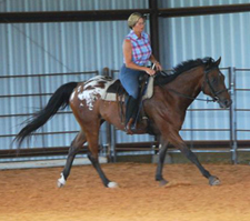 Under saddle with Patti Couch aboard