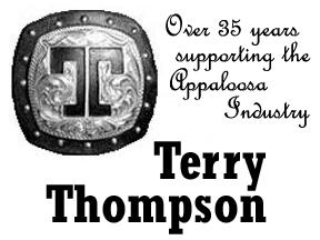 Terry Thompson, Inc.